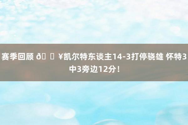 赛季回顾 💥凯尔特东谈主14-3打停骁雄 怀特3中3旁边12分！