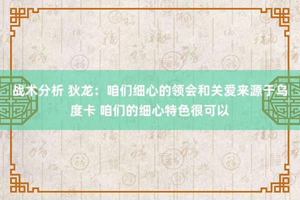 战术分析 狄龙：咱们细心的领会和关爱来源于乌度卡 咱们的细心特色很可以