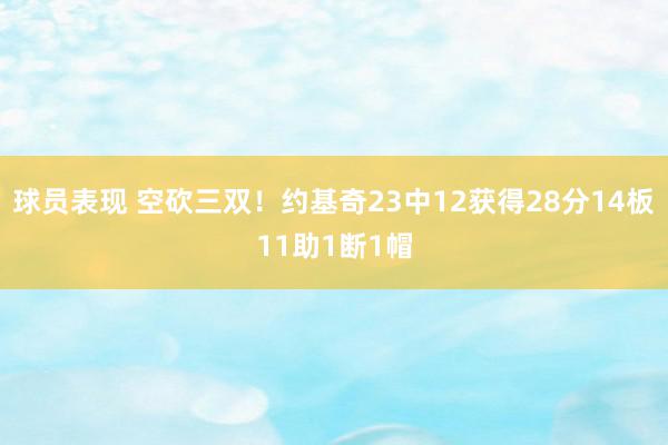 球员表现 空砍三双！约基奇23中12获得28分14板11助1断1帽